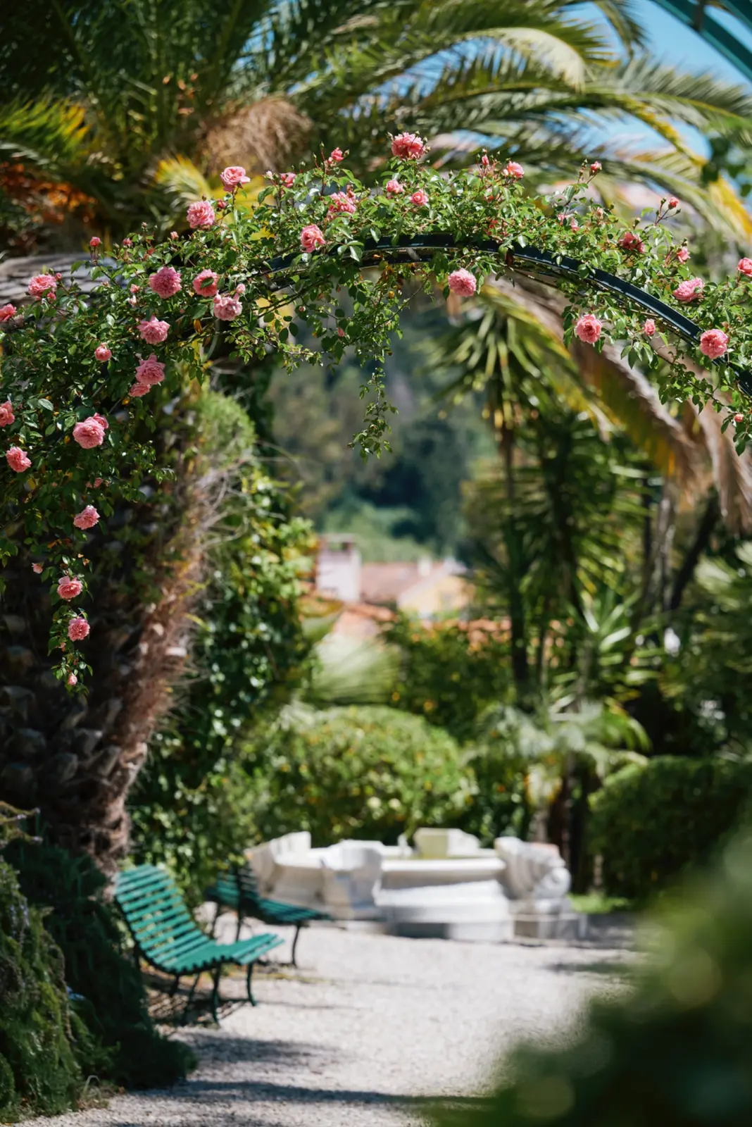 Allée fleurie et ombragée dans le jardin privé du Winter Palace