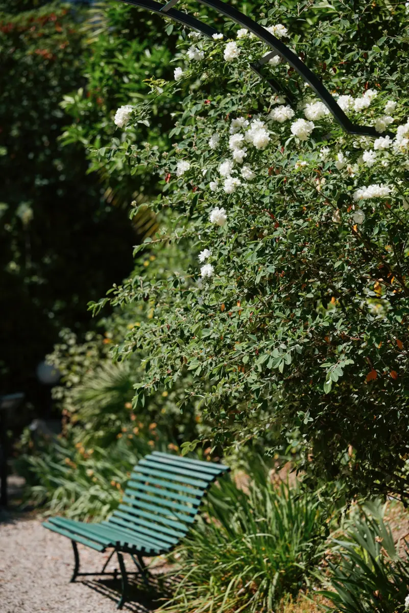 Banc vert à l’ombre de la végétation du parc